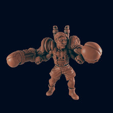 Load image into Gallery viewer, The Boxer