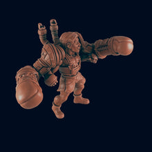 Load image into Gallery viewer, The Boxer