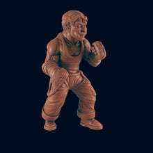 Load image into Gallery viewer, The Boxer