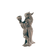Load image into Gallery viewer, Dragonkin Female Noble