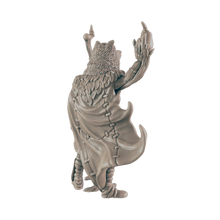 Load image into Gallery viewer, Human Male Druid