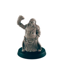 Load image into Gallery viewer, Dwarf Male Noble