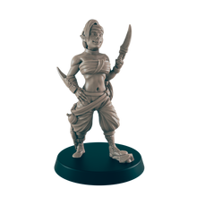 Load image into Gallery viewer, Elf Assassin