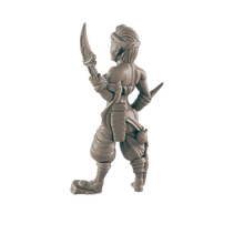 Load image into Gallery viewer, Elf Assassin