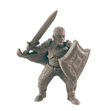 Load image into Gallery viewer, Human Male Fighter 2
