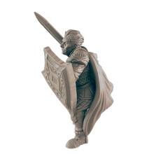 Load image into Gallery viewer, Human Male Fighter 2