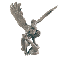 Load image into Gallery viewer, Harpy