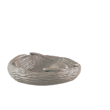 Load image into Gallery viewer, Harpy
