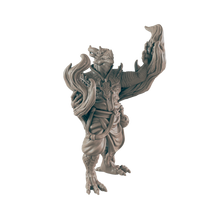 Load image into Gallery viewer, Dragonkin Male Sorcerer