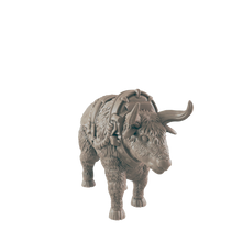 Load image into Gallery viewer, harnessed Oxen