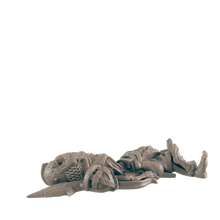 Load image into Gallery viewer, Skeleton
