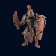 Load image into Gallery viewer, Steam Knight