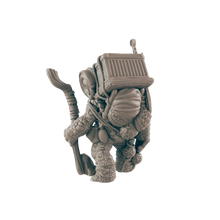 Load image into Gallery viewer, Turtlefolk Wanderer