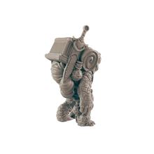Load image into Gallery viewer, Turtlefolk Wanderer