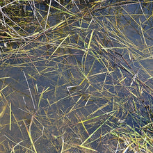 Load image into Gallery viewer, AK-8008 AK Still Water - 250ml (Acrylic)