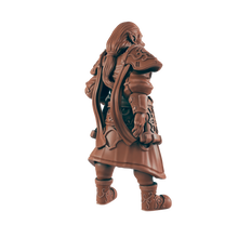 Load image into Gallery viewer, Elven Noble
