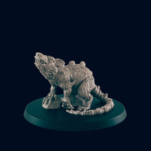 Load image into Gallery viewer, Giant Rat / Rat Swarms
